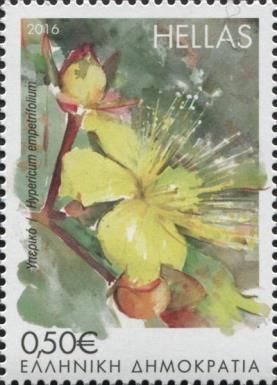 Hypericum empetrifolium