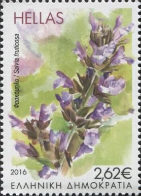 Salvia fruticosa