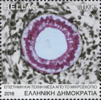 Biological Life Seen Through Microscopes