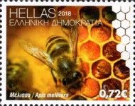 European Honey Bee (Apis mellifera)