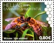 European Honey Bee (Apis mellifera)