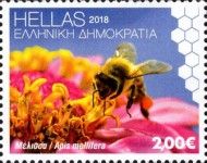 European Honey Bee (Apis mellifera)