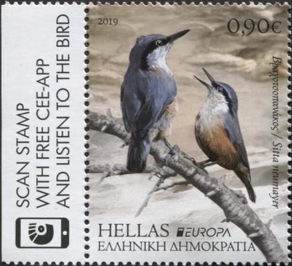 Western Rock Nuthatch (Sitta neumayer)