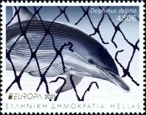 Common Dolphin (Delphinus delphis)