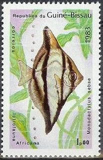 African Moony (Monodactylus sebae)