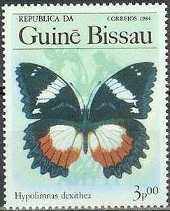 Madagascar Diadem (Hypolimnas dexithea)