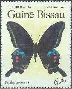 Blue Peacock (Papilio arcturus)