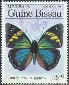 Turquoise Emperor (Apaturina erminea ssp.papuana)