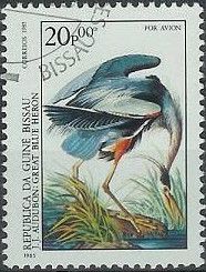 Great Blue Heron (Ardea herodias)