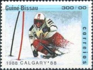 Skibike