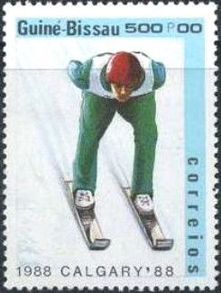 Ski jumping