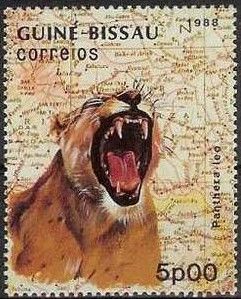Lion (Panthera leo)