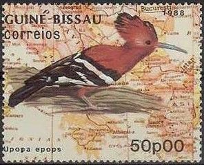 Eurasian Hoopoe (Upupa epops)