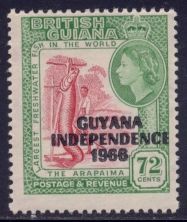 Arapaima (Arapaima gigas) overprinted