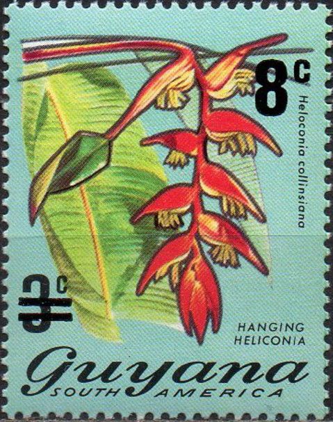 Hanging Heliconia (Heloconia collinsiana) surcharged 8c