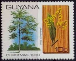 Virola surinamensis