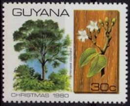 Hymenaea courbaril