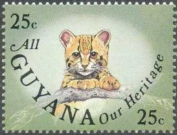 Ocelot (Leopardus pardalis)