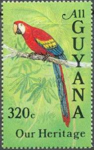 Scarlet Macaw (Ara macao)