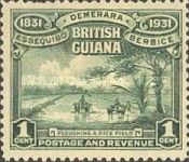 Ploughing a Rice Field