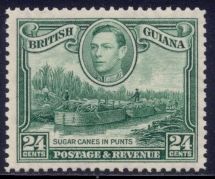 Sugar canes in Punts