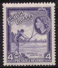 Amerindian Shooting Fish