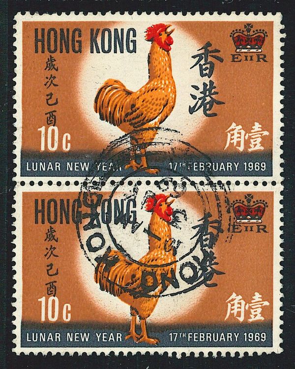 Cock (Gallus gallus domesticus)