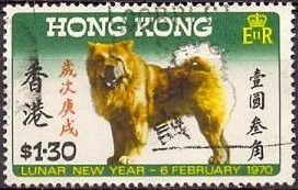 Chow-Chow (Canis lupus familiaris)