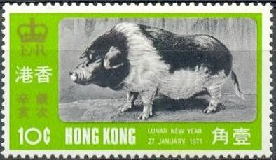 Boar (Sus scrofa domestica)