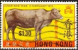 Ox (Bos primigenius taurus)