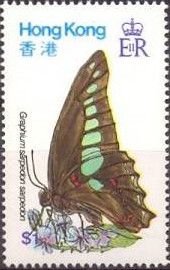 Common Bluebottle (Graphium sarpedon)