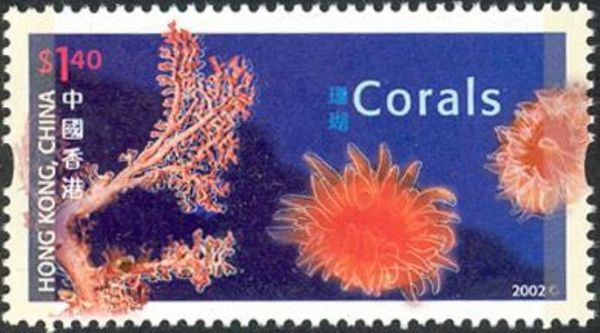 Corals (Paragorgia arborea, Balanophyllia elegans, Caryophyl