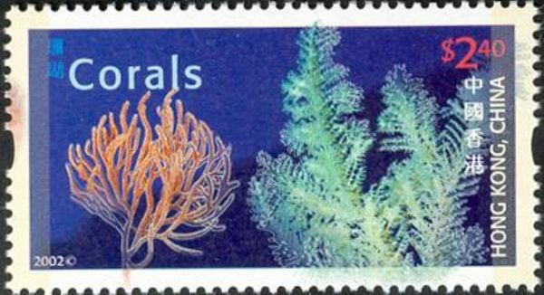 Corals (Primnoa resedaeformis, Antipatharia sp.)