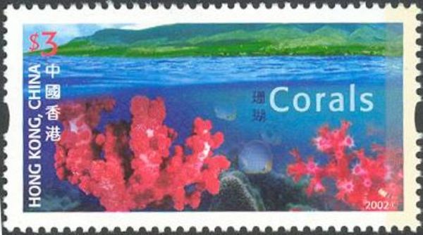 Corals (Dendronepthea gigantea, Dendronepthea sp.)