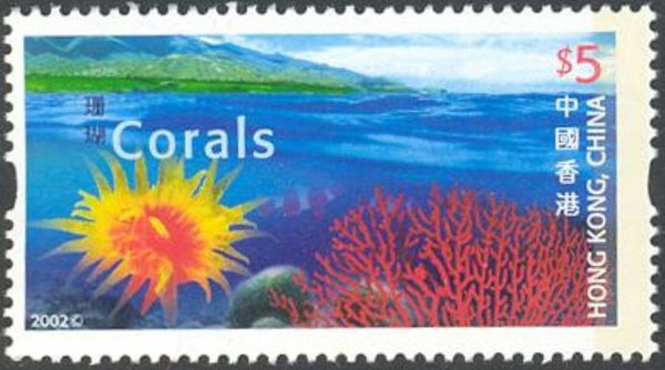 Corals (Tubastrea sp., Echinogorgia sp.)
