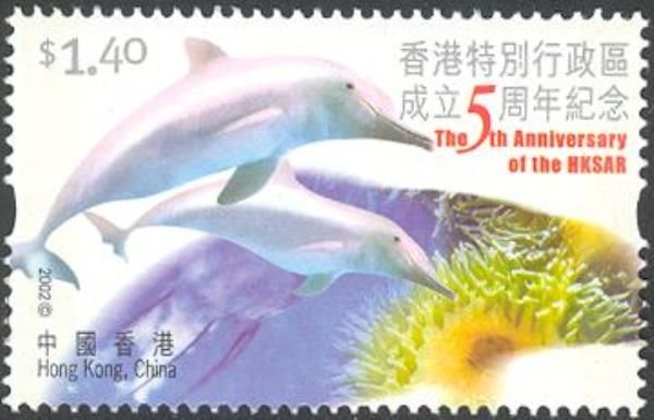 Indo-Pacific Humpback Dolphin (Sousa chinensis), Sea Anemone