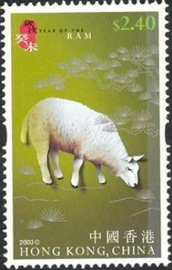 Sheep (Ovis ammon aries)