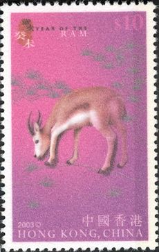 Ram (Ovis ammon aries)