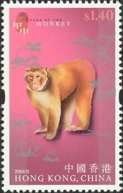 Barbary Macaque (Macaca sylvanus)