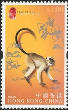 Grivet (Cercopithecus aethiops)