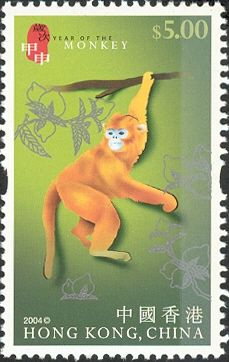 Golden Snub-nosed Monkey (Rhinopithecus roxellana)