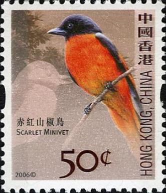 Scarlet Minivet (Pericrocotus flammeus)