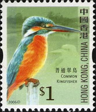 Common Kingfisher (Alcedo atthis)