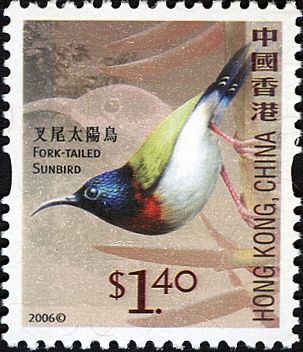 Fork-tailed Sunbird (Aethopyga christinae)