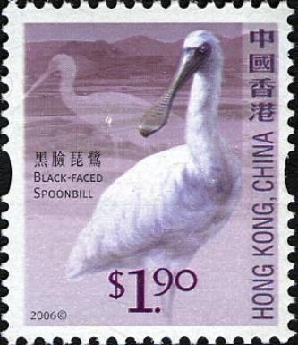 Black-faced Spoonbill (Platalea minor)