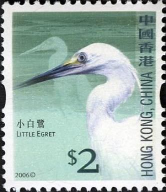 Little Egret (Egretta garzetta)