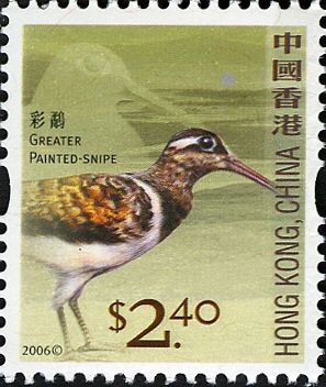 Greater Painted-snipe (Rostratula benghalensis)