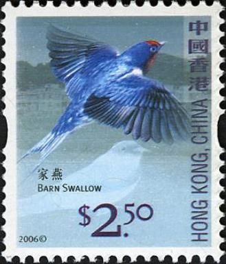Barn Swallow (Hirundo rustica)