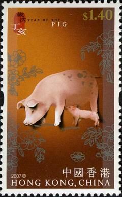 Pig (Sus scrofa domestica)