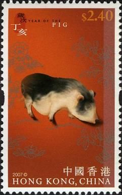 Pig (Sus scrofa domestica)